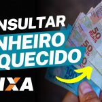 CNH Social: Como Funciona e Quem Tem Direito a Tirar a Habilitação Gratuitamente